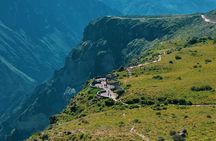 1 day Colca Canyon in Arequipa