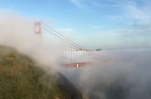 San Francisco, Muir Woods & Sausalito Ultimate Combo Tour
