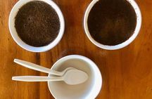 Coffee Tour - near Sámara & Carrillo Beach