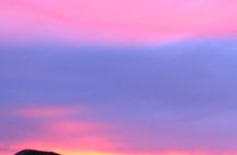 Guided Tour of Joshua Tree National Park with Local Expert