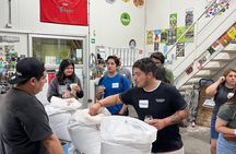 Craft Beer Tour Santiago Breweries Tastings and Pairings