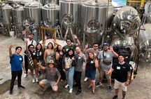 Craft Beer Tour Santiago Breweries Tastings and Pairings