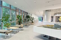 Hangzhou Tech Tour with Alibaba Campus and AI Experience