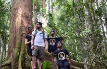 Jungle Trekking 1 Day in Bukit Lawang