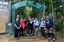 Jungle Trekking 1 Day in Bukit Lawang