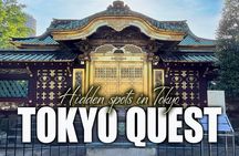 Tailored Tokyo private Tour with a Local Guide (10:00〜)