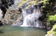 Osaka Half day E bike Katsuoji Temple and Luxury Hilltop Onsen