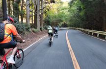 Minoh E-bike Tour : Katsuoji Temple & Onsen Half Day