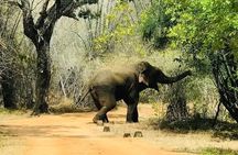 2 Day Ella and Yala Safari Tour With 4 Star Hotel Transportation