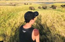2 Day Ella and Yala Safari Tour With 4 Star Hotel Transportation