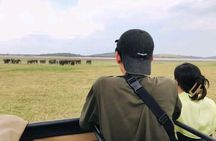 2 Day Ella and Yala Safari Tour With 4 Star Hotel Transportation