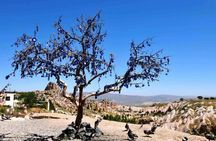 Cappadocia Blue Tour - Soğanlı valley & Keslik Monastery