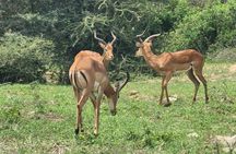 4-Days Tour to Tanzania National parks