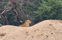 4-Days Tour to Tanzania National parks