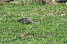 4-Days Tour to Tanzania National parks