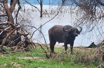 4-Days Tour to Tanzania National parks