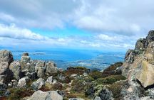 Mt Wellington Bonorong Wildlife Sanctuary and Wine Tasting Tour