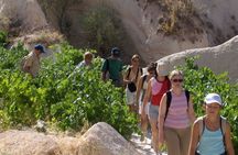 Local Gems: The Bodrum Producer Discover