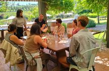 Cape Town: Signature Pinotage Experience – Private Wine Journey!