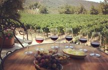 Local Gems: The Bodrum Producer Discover