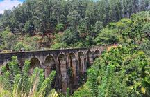 7 Day Sri Lanka Private Tour with 4 Star Accommodation and Safari
