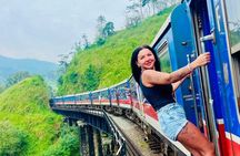 7 Day Sri Lanka Private Tour with 4 Star Accommodation and Safari