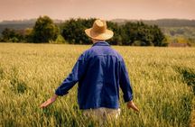 Unique Van Gogh immersive tour in Auvers sur Oise - 1.5 hours