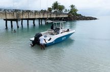 Luxury Private Boat Tour Barbados Snorkeling and Turtles