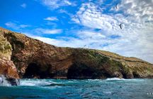 Ballestas Islands Tour from Huacachina or Ica – Round Trip