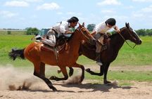 Excursion to typical estancia in the Argentinian Pampas with lunch and gauchos