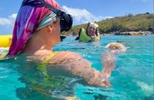 Half Day Luxury Catamaran Sail And Turtle Snorkel
