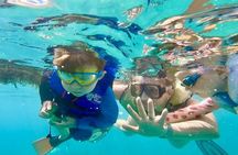 Half Day Luxury Catamaran Sail And Turtle Snorkel