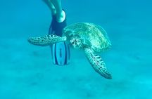 Half Day Luxury Catamaran Sail And Turtle Snorkel