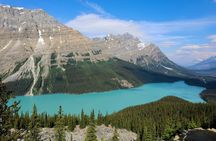 Banff to Jasper Columbia Icefield Private Tour via Icefields Pkwy