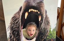 Capilano Suspe Bridge & Grouse Mountain Limited Small Group Tour