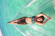 Isla Mujeres Clear Boat Ride + Free Photo at Reef & Marine Life