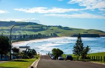 Sydney Secret Coastline Kiama Blowhole with Wollongong Wildlife