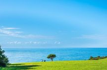 Sydney Secret Coastline Kiama Blowhole with Wollongong Wildlife