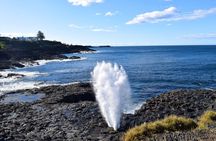 Sydney Secret Coastline Kiama Blowhole with Wollongong Wildlife