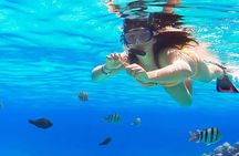 From Cancun Snorkeling in Isla Mujeres with Food and Bar