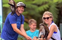 Grenada Private SUV Tours: Forts, Spice, Chocolate, Lake & Falls