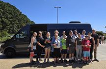 Private Wildlife Experience at Featherdale Park from Sydney