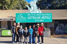 Private Wildlife Experience at Featherdale Park from Sydney
