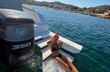 Luxury Motor Yacht Tour from Palma de Mallorca 4h 10pax max