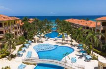 Roatan Infinity Bay Beach Resort Day Passes and Tours