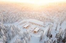Rovaniemi Insider: 10 km Husky Self‑Drive Adventure