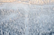 Rovaniemi Insider: 10 km Husky Self‑Drive Adventure