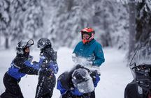 Snowmobile Safari into the Arctic Circle Forest