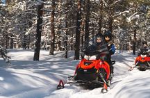 Arctic Circle Snowmobile Safari for Beginners in Rovaniemi
