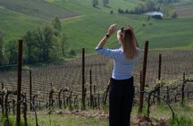 Parmigiano Reggiano Vinegar of Modena tour and lunch in the hills